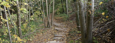 Image - B12-DSC02220.png