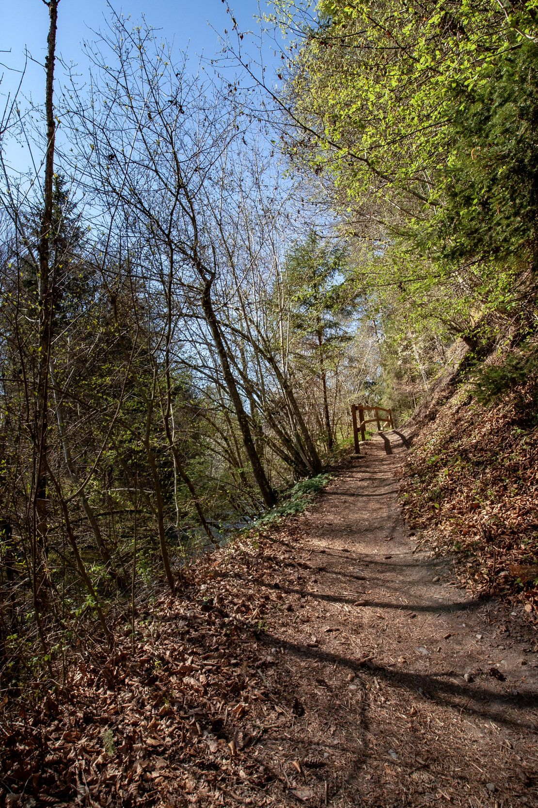 Image - 136-_MG_5425.png