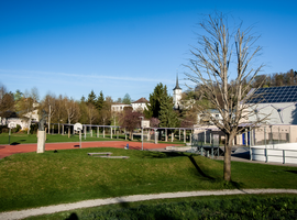 Image - 21-_MG_5200.png