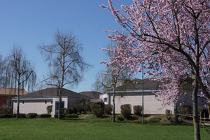 Image - DSC00695.png